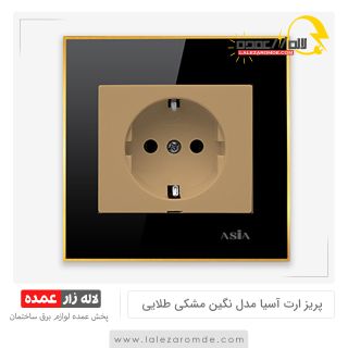 پریز برق ارت دار آسیا مدل نگین مشکی طلایی