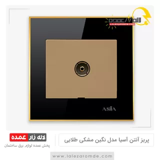 پریز آنتن آسیا مدل نگین مشکی طلایی