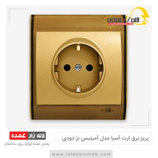 پریز برق ارت آسیا مدل آمیتیس بژ دودی