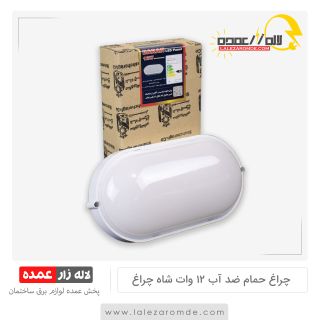 چراغ حمام ضد آب 12 وات شاه چراغ