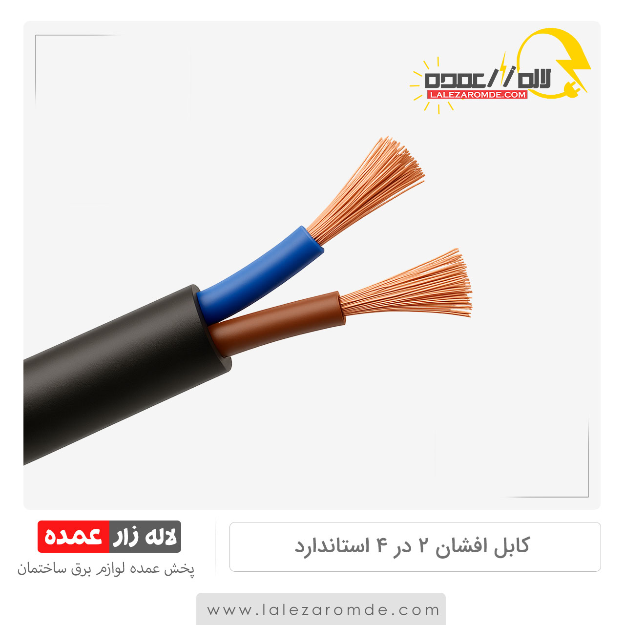 کابل افشان 2 در 4 استاندارد